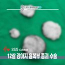 찬`s 동물병원 이미지