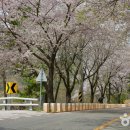 나들이펜션A 이미지