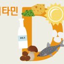 비타민로드