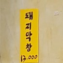 돈주바리 이미지