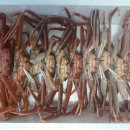 친구수산 이미지