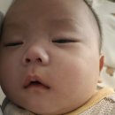 열번의 봄 | [4개월 예방접종] 접종열 38.6도와 새벽 분수토 I 해열제 복용 간격, 봄콩빠더의 긴박한 후기
