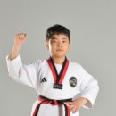 금빛 호랑이 태권도 이미지