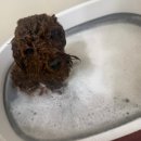 심신 안정을 위한 아로마테라피 이미지