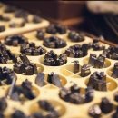 자동차생활 이미지