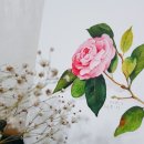 수채화 캘리그라피 이미지