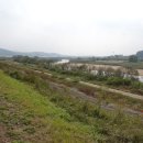 중화요리 홍도 이미지