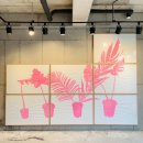 제주와봄 이미지