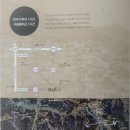 용인 하이닉스 반도체 클러스터 원삼면 임장 전 답사 후기