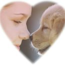 PET사랑 이미지