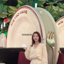 성공식당 | 파리 디즈니랜드 라따뚜이 식당 당일예약 성공 방문 후기