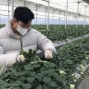 농부의 꿈 이미지