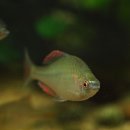 우주 행정사 사무소 이미지