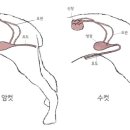 창녕동물병원 이미지