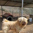 삼공주 농원 이미지