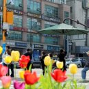 그늘막17 이미지