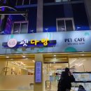 펫다방 | [성남] 펫다방 애견카페 후기!내돈내산!