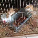 성산2차e편한세상아파트 이미지