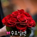 영어는조이쌤