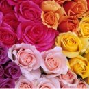 지엑스월드 이미지