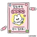 벌써 더워진 5월・・・ 비거니즘 일상 모음집 [샐러디 비건메뉴/생일 선물들/엄마랑 데이트/비건간식...
