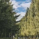 경춘선숲길 이미지