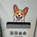 몽몽솔솔 이미지