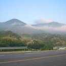 웅양주유소 이미지