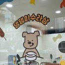 댕댕이수라상 이미지