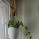 염주약국 | 2026년 4월 2주 (서문시장, 빗꾸, 놀벤져스)