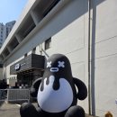엔오하트 | 260321 엔플라잉팬미팅 우사합: 우리 사소한 얘기 좀 합시다 Day1