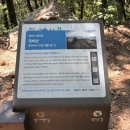 탐앤탐스용인 | 경기도 조비산 등산 아이와 다녀온 가벼운 산행 | 코스·소요시간·정상뷰 후기 + 고삼호수휴게소 방문