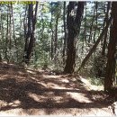 공산초교 이미지