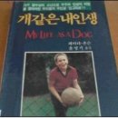 월드가몽 이미지