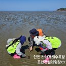 황산도갯벌체험장 | [인천] 무의도 하나개해수욕장 포내갯벌체험장 후기ᰔ 물때 체험시간 준비물