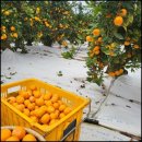 진수농장 이미지