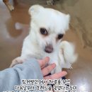 미소 이미지
