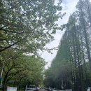 논현해물칼국수인천논현 - 남동구 논현고잔로 166 | 남동구 칼국수 논현 해물 칼국수 인천논현본점 후기