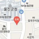 안계정형외과의원 티스토리