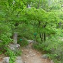 만월암석불좌상 이미지