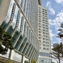 호텔나루 엠갤러리 한강뷰 후기｜프리미어 리버 객실 · 룸서비스 솔직 정리