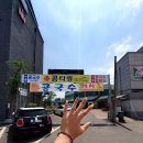 콩타령