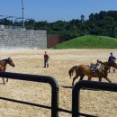 제주 더마파크(The 馬 Park) 공연 이미지