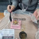 반려식물(홈가드닝) 이미지