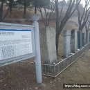 군내면 선정비군 네이버블로그