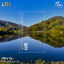 [추천 45선] 걷기 좋은 여행지 l 양구, 고요한 풍경의 끝에서 만나는 마음의 평화 DMZ 평화의 길 26-1코스
