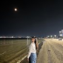 포항 2박3일 여행 Day 2 | 포시즌호 선상낚시, 영일대해수욕장, 영일대 미남포차 박달대게