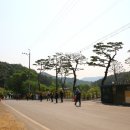 대청호오백리길 호반열녀길 이미지