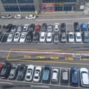 주정차-28 이미지