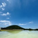 릴렌하우스 | [제주돌문화공원] 제주여름여행지 산수국이 절정인 돌문화공원 제주가볼만한곳
